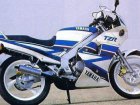 1989 Yamaha TZR 125